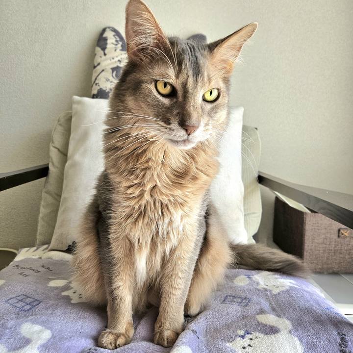 7af45301 3dfe 41b3 92d5 362dddb98f8f 1714281472930