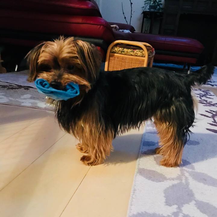 7af4a299 7b5d 41eb 9e62 73777ecc0527 1531295027791