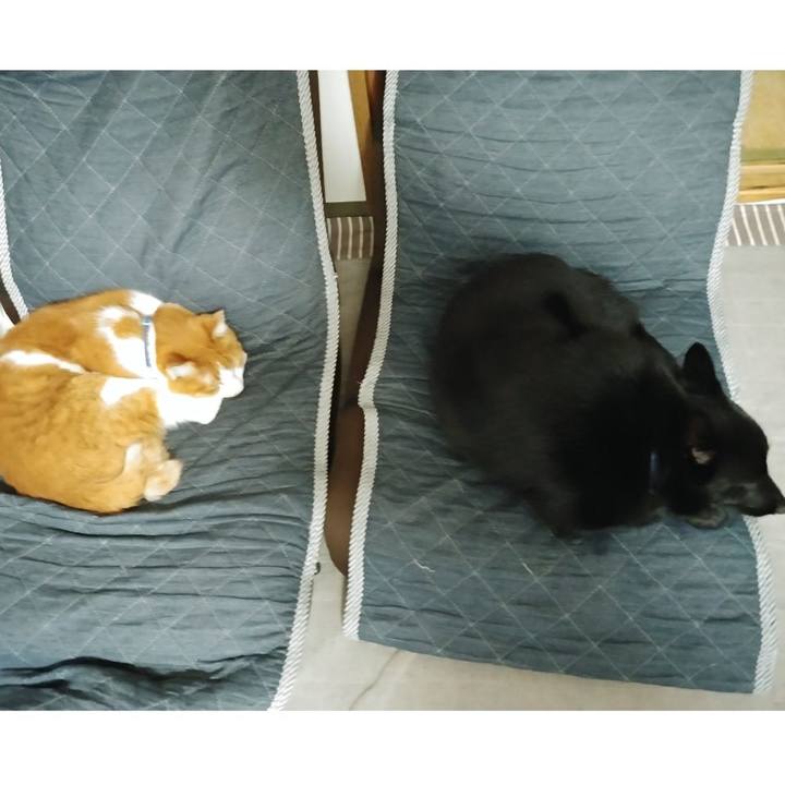 7af4c8f0 bb55 47ac 9056 801797305c88 1602069830753