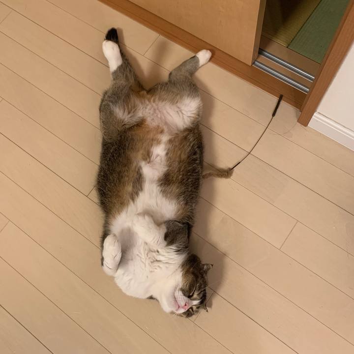 7af51d85 d789 419f 9979 206582e74d2a 1570030571254