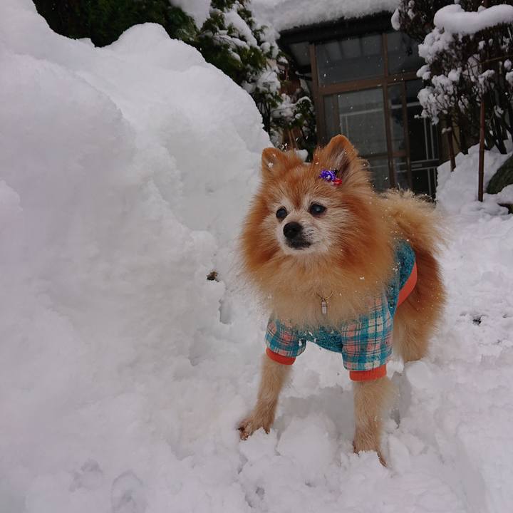 7af523c3 9950 4e90 b272 a46a205a1c10 1609654647874