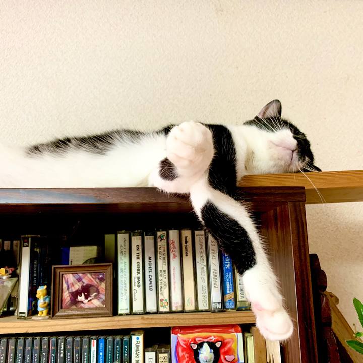 7af54660 b059 4f72 8128 c03ebce37a0c 1599266486112