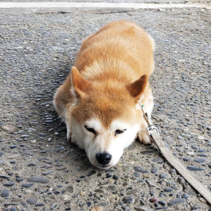 7af54ee3 01ca 433e 9723 3e74f1fc6e2a 1563780905291