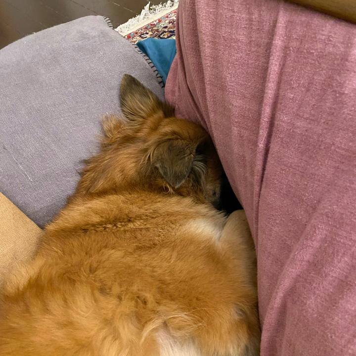 7af56e15 b455 41c3 8c1f b7f504d81d59 1765533609756