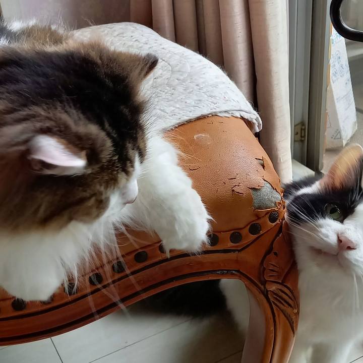 7af5806c 08d9 4ccd aacd 492ed26a2085 1623883165211