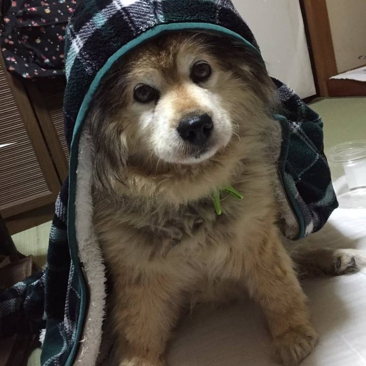 7af5a712 8c2b 4ec4 af44 5c9a602eea98 1611549089582