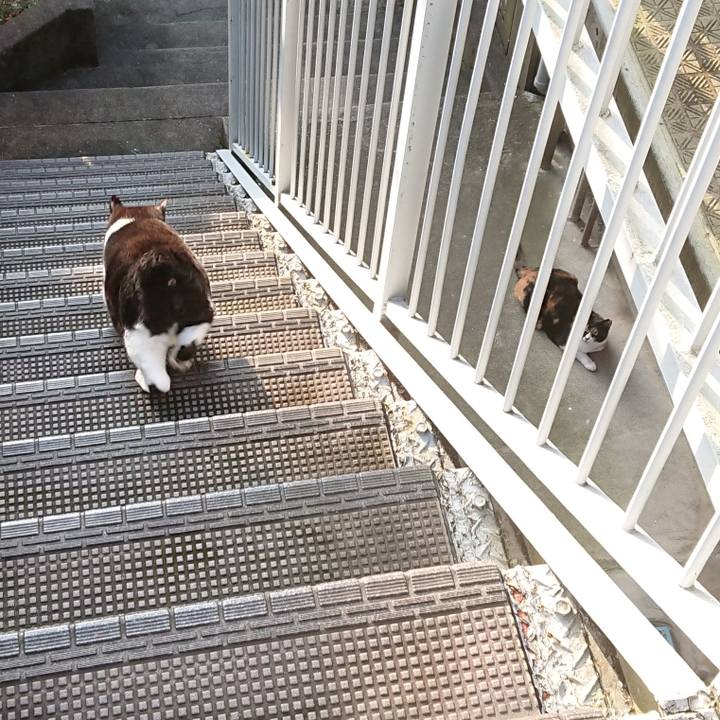 7af5b73a e490 4f95 98d6 1822f940372f 1596663007901