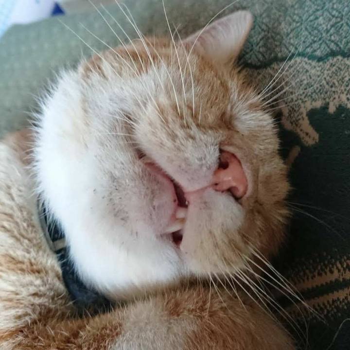 7af5c2ae 80c9 4f58 bfc7 744ab00c6a9c 1566115461814