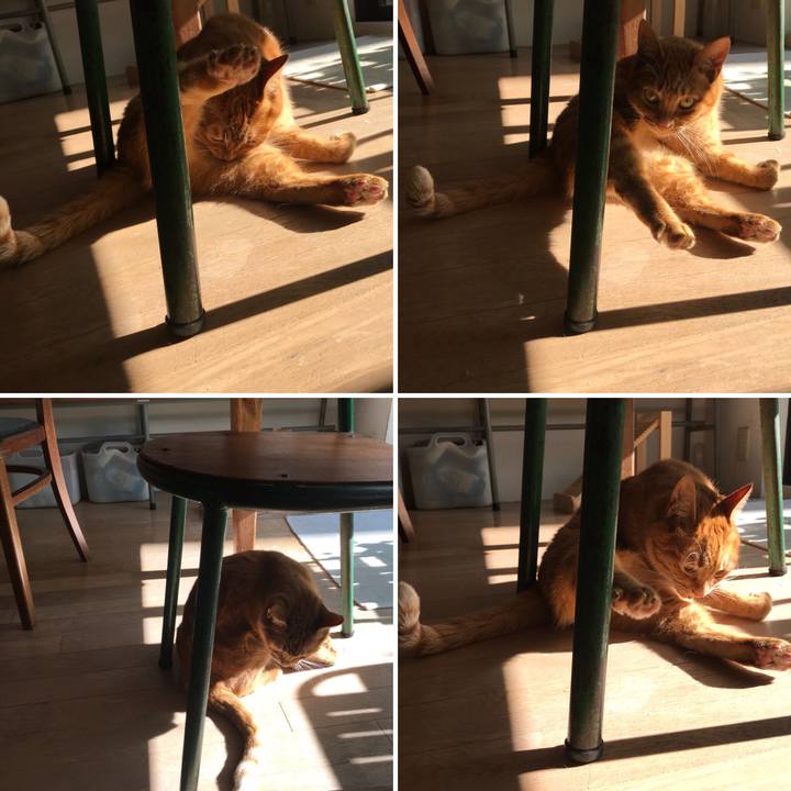 7af5c709 361a 415b acdf 81696aa5fdf5 1514263936306