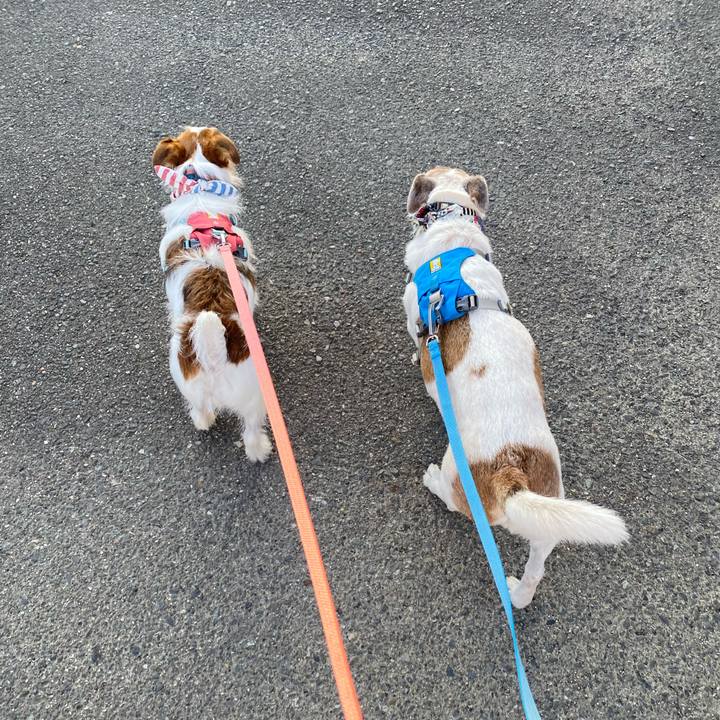 7af60e15 c98b 4504 b4e2 3c004458a8dc 1692509759851