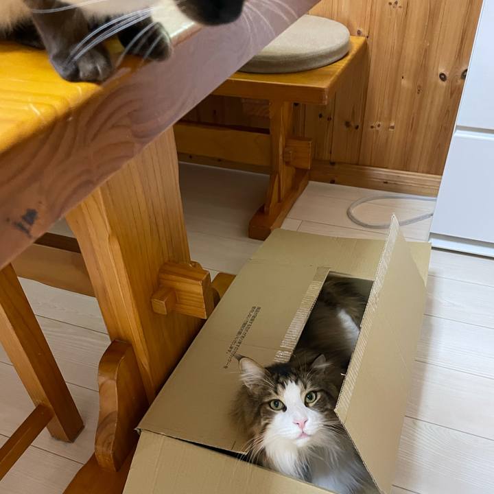 7af61930 e387 429a b13c fc243c4ac59e 1707681594996