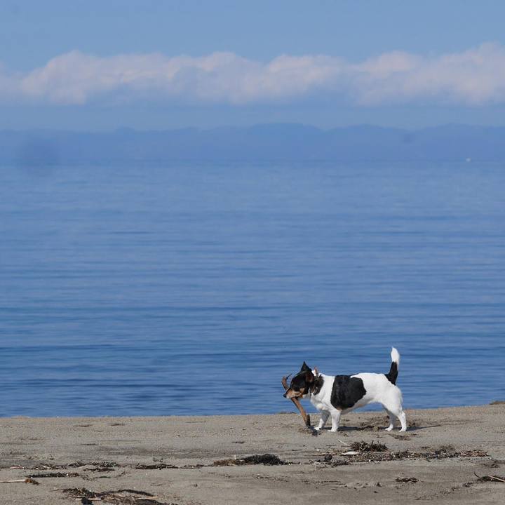 7af647e6 a494 4636 9eea 70692d7060fb 1679890996951