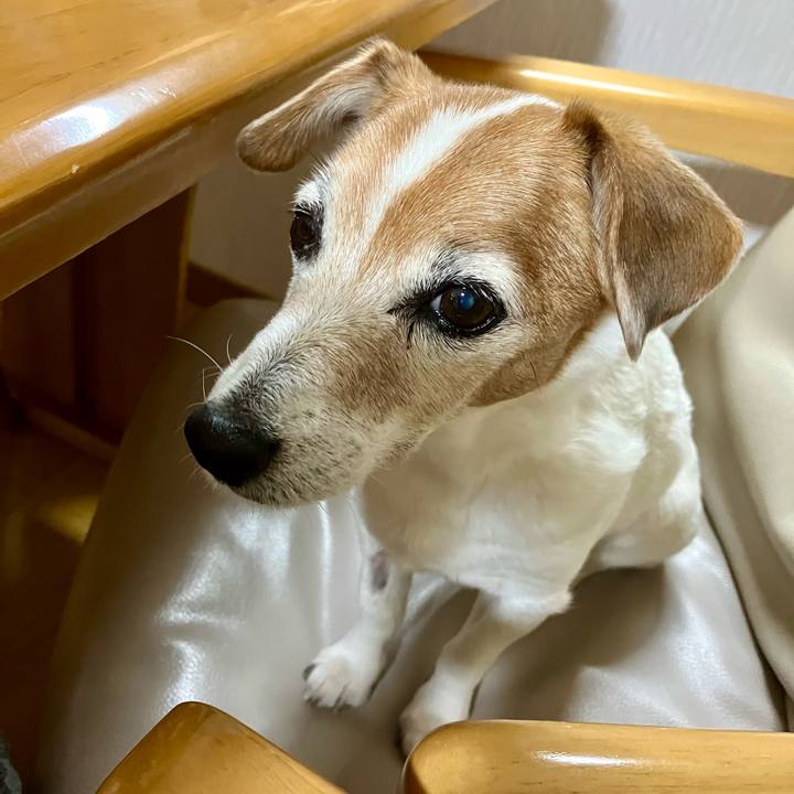 7af68099 9496 4e56 9304 2e9d119f2647 1701694497772