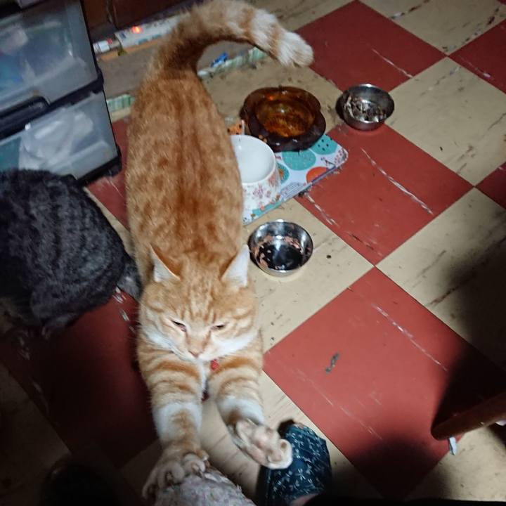 7af6a3b4 c22d 470d a36a a59a1f10722d 1574019901699