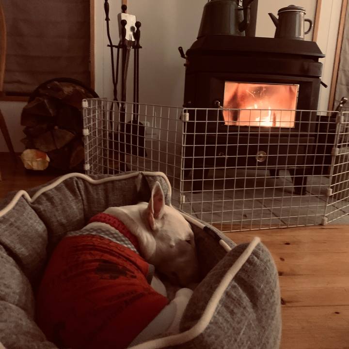 7af6a8aa 187a 4eb7 b81c 3ace609f2549 1546610437761