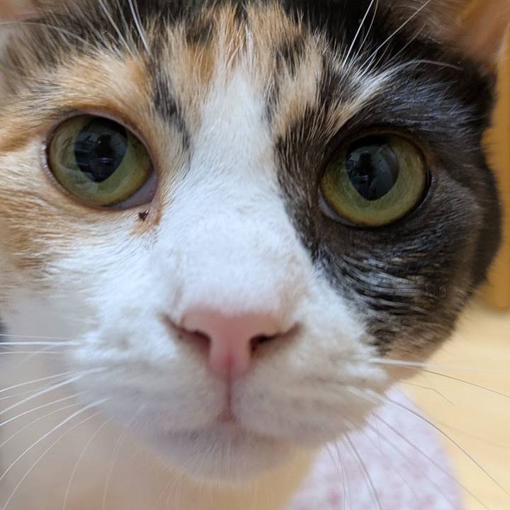 7af6ad39 229c 4704 87af 6f5be985b606 1762514403250