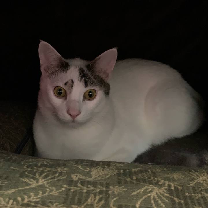 7af6e8f3 d67d 4e0c aebf 6dd2354e7ea0 1612405628953