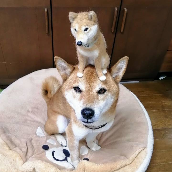 7af6fb81 18c1 46e8 bf14 3f76b8c4f49a 1628500300527