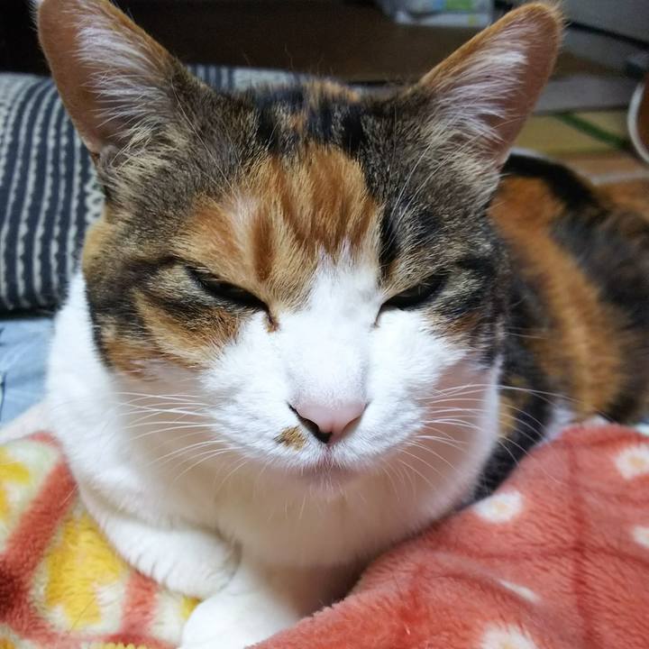 7af70a60 e9f4 430a 8ac6 becc069e809d 1527173834665