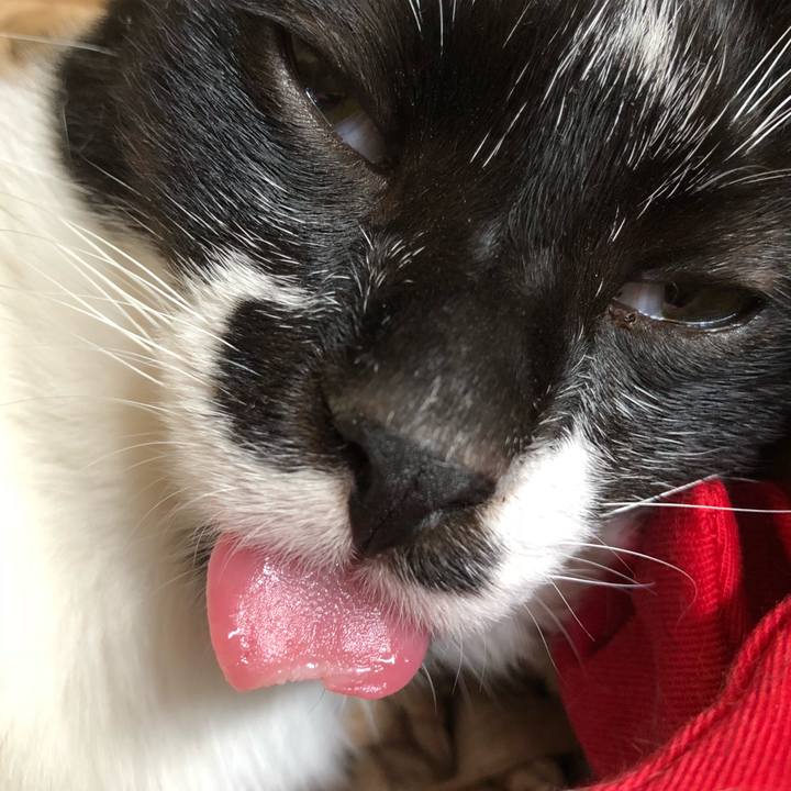 7af71192 035f 4df1 b0e5 b87e7c4b120a 1532315131643