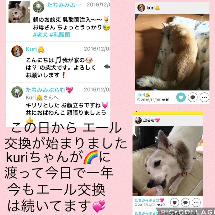 7af7235a dd83 40f4 bd04 1353a1850ce7 1645179683473