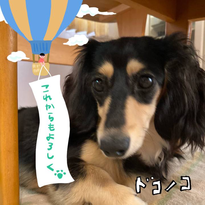 7af73c29 7df3 40c6 aeb5 12de0c522cc7 1685939817633