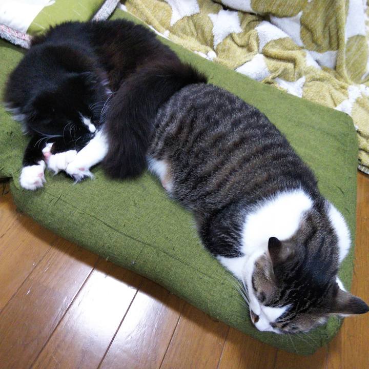 7af759ee 3ffd 4217 9288 0fd519c9d525 1650791421173