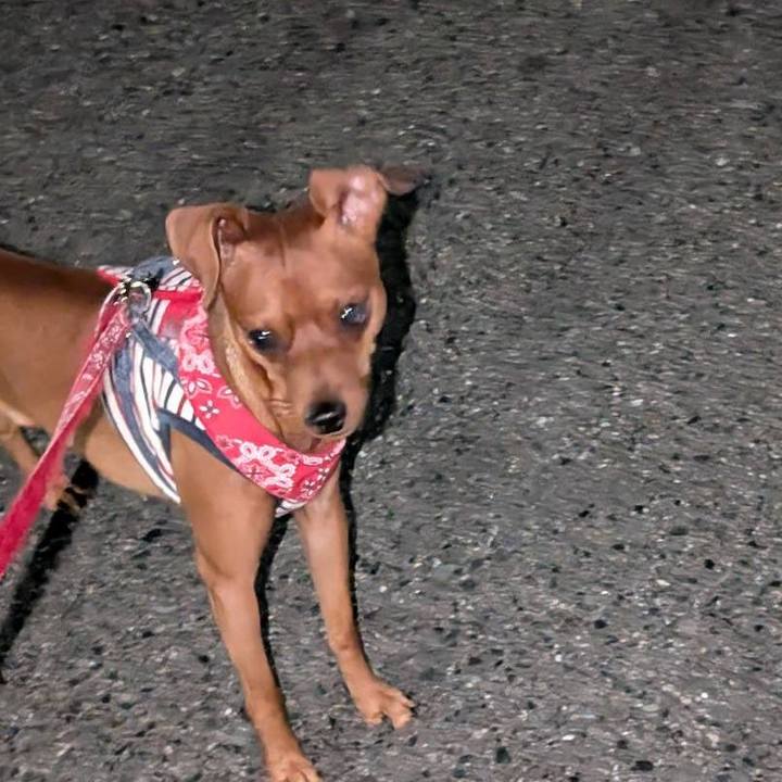 7af75ea8 5bb0 4413 9302 a7448fbb3a83 1724153880407