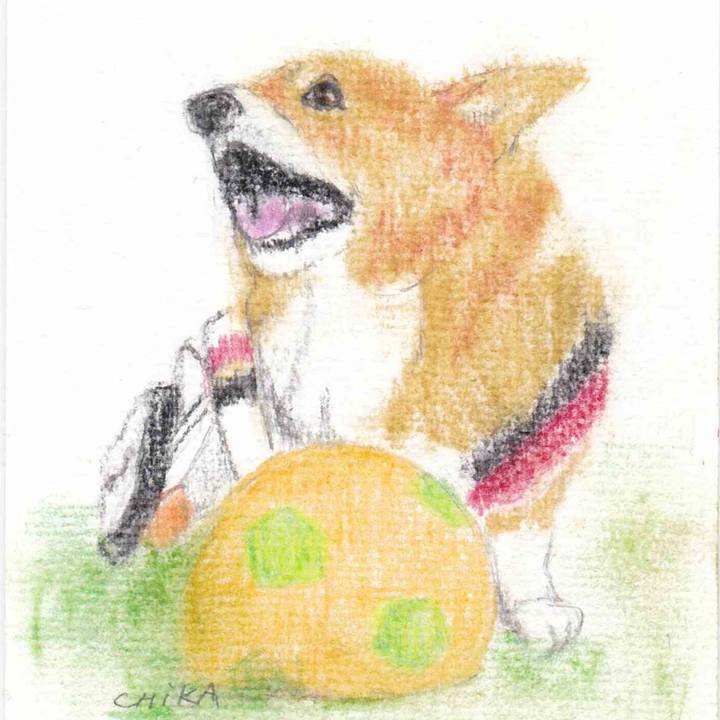 7af77857 0f73 4be3 bfe2 1838e13fa0d5 1585842530385