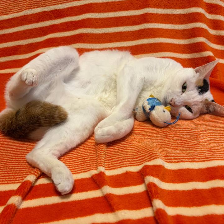 7af77f81 8efa 4454 a432 1b7938843b96 1772365807568