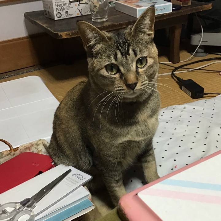 7af78b36 08ab 4c26 a467 3cbc76b33c14 1582277081956