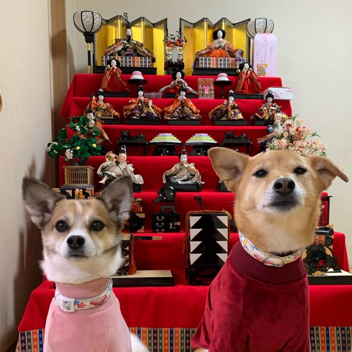 7af7e8b6 214f 41bb b732 456eb9510cad 1583269422873