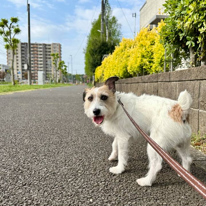 7af7fe99 4a4d 4486 843f fb359ddf6c7f 1745700136158