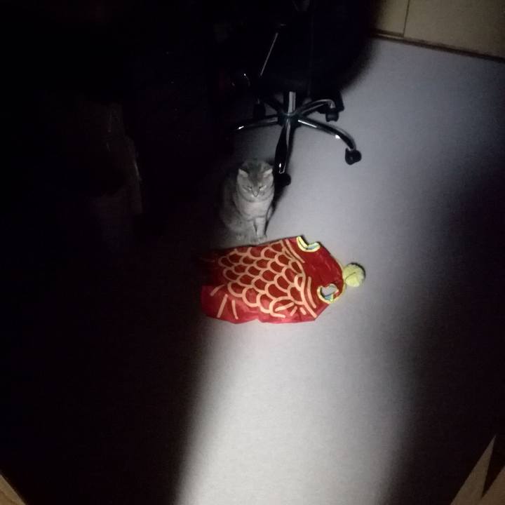 7af80058 1577 4ddc 8fa3 5ddf51063cd6 1512522122998