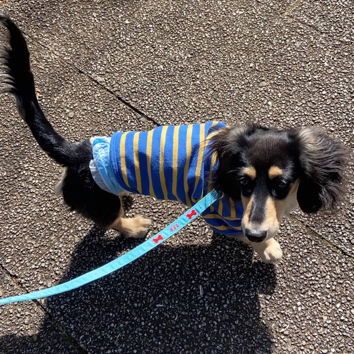 7af8522c 347c 43b1 bf71 8cbddf65b007 1675224975483