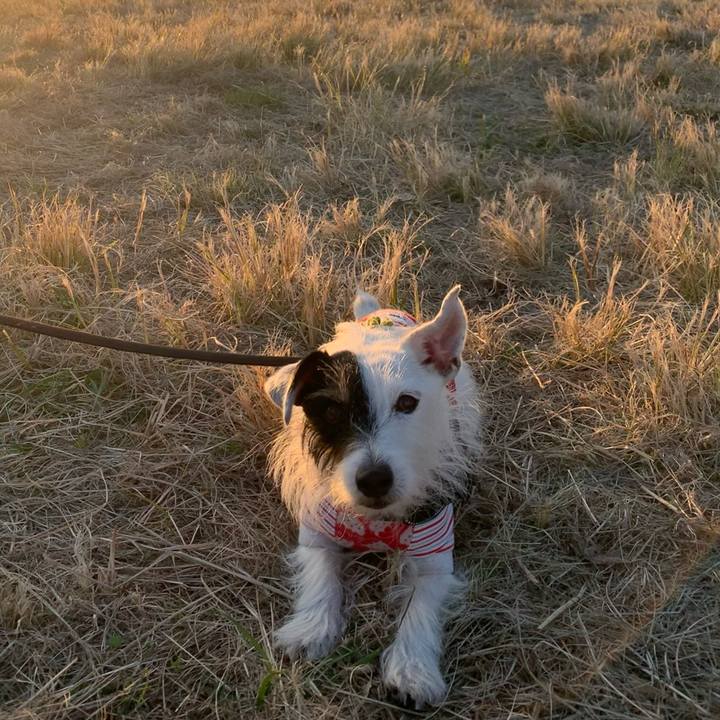 7af8891a c7a8 4607 89fe e75cada13ffe 1670660297599