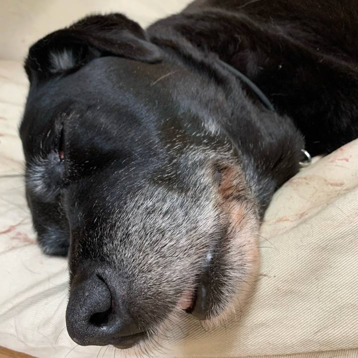 7af892bd baad 4603 8706 130726ecd459 1619855636647