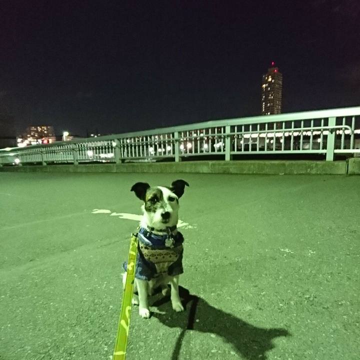 7af89dc0 80c2 474c 86d5 4aa06c292452 1517914842322