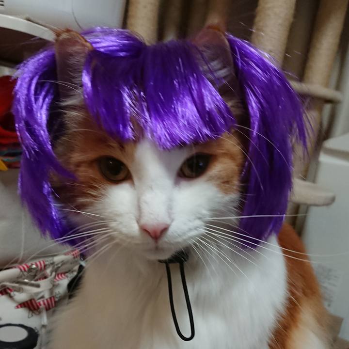 7af8f0ca 1e6b 42cb a085 bde2579d595c 1541253994812