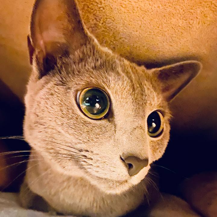 7af90c1d d616 4d87 9e44 7faff88b9c36 1642379972101