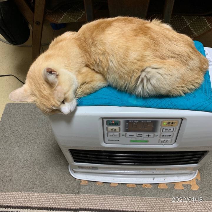 7af92c2a 63a5 4a26 8ad5 55cad9ae878e 1642077436683