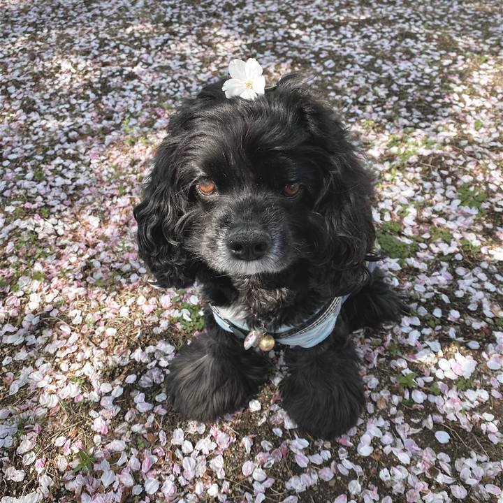 7af9465d 6f1a 4d6e b770 6eaa0b25d5bd 1617790390198