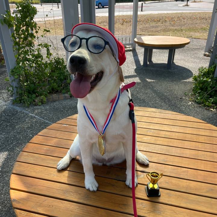 7af94fd4 8cd1 43d8 98c8 7e695fbb906e 1635374428730