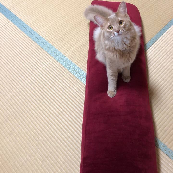 7af9f4b6 bc32 4f18 87e7 1861bc43acb1 1569020835838