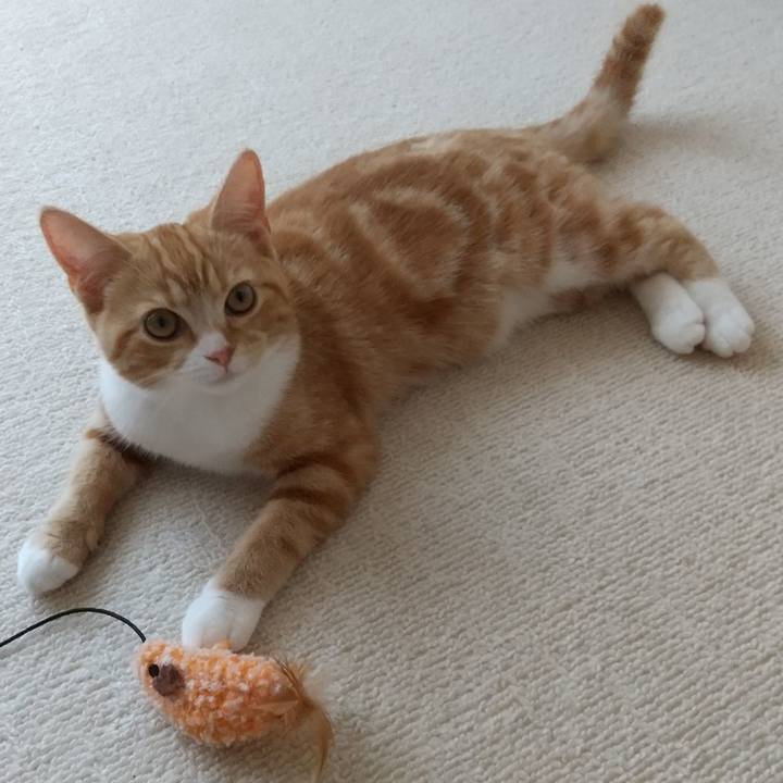 7af9f870 6865 4fee a571 5e41c2483cf2 1655178458314