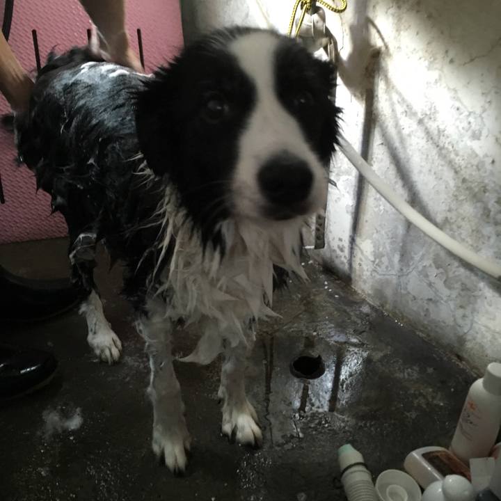 7afa3298 8f8c 42e5 aecf b804d7e9e1e0 1542186960531