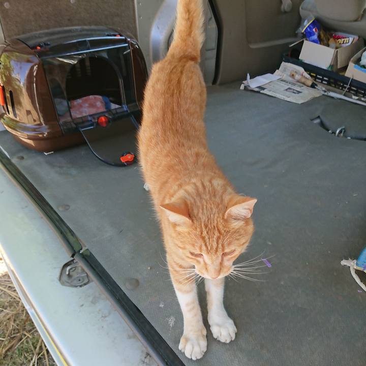 7afa5928 9505 42cf 9031 f199395ead63 1592635335939