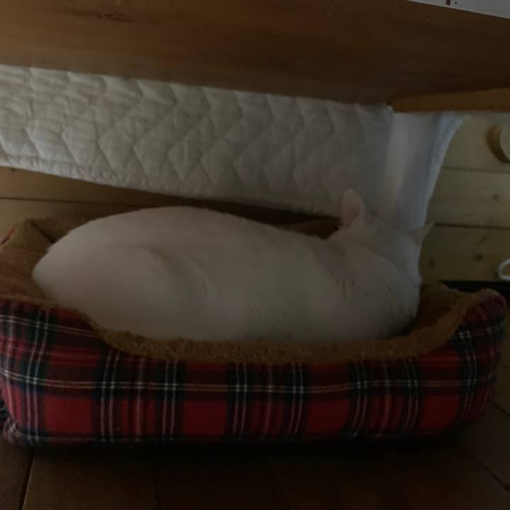 7afa5fa8 7bca 4861 b44c 5936c21c85e5 1668004517506