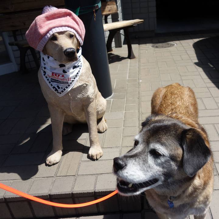 7afa8d8c 4ddb 412c bc64 1c30f3589926 1664673236599