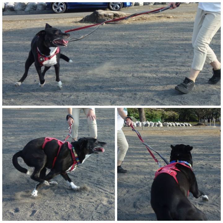 7afa8f44 5685 4dab 8ae1 dab119ba00de 1694734112524